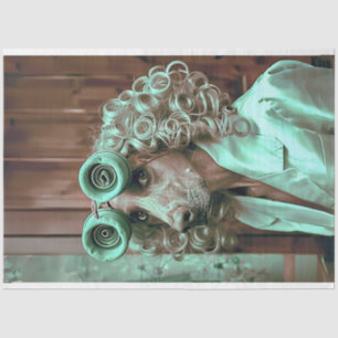 Whimsical Dressed Bird Dog Decoupage Tissue Paper