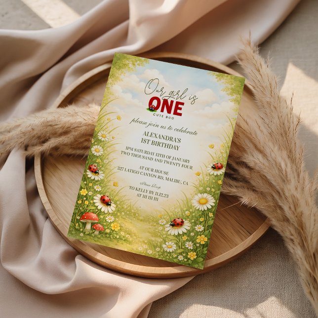 Whimsical Garden Lady Bug 1st Birthday Invitation (Creator Uploaded)