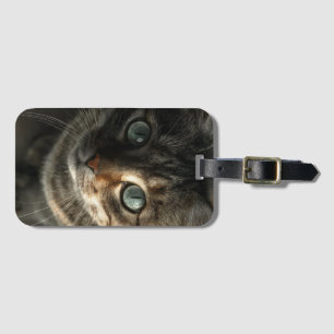 Whimsical Gray Cat Portrait Wall Art Luggage Tag