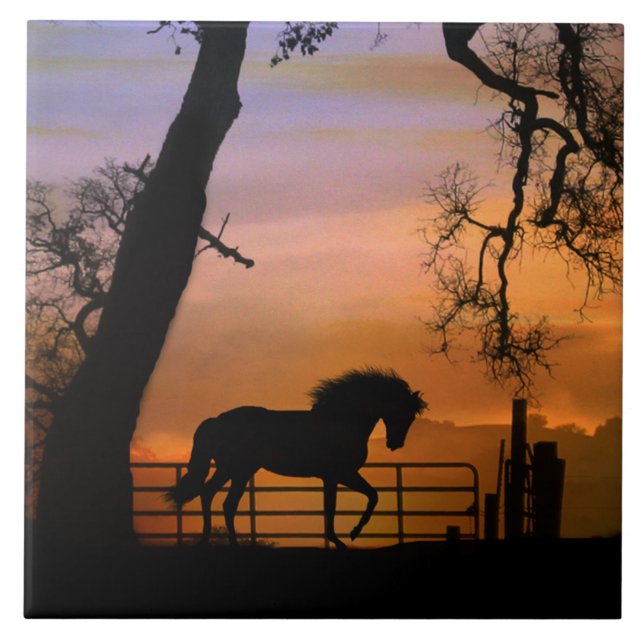 Whimsical Horse Art Tile, Pretty Southwestern Ceramic Tile (Front)