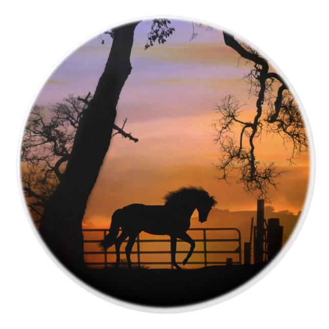 Whimsical Horse Knobs (Front)