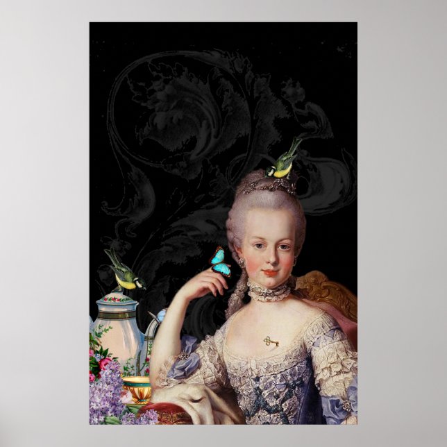 Whimsical Marie Antoinette secret keeper Poster (Front)