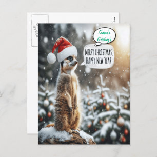 Whimsical Meerkat Christmas Santa  Holiday Postcard