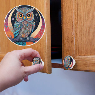 Whimsical Night Owl  Ceramic Knob
