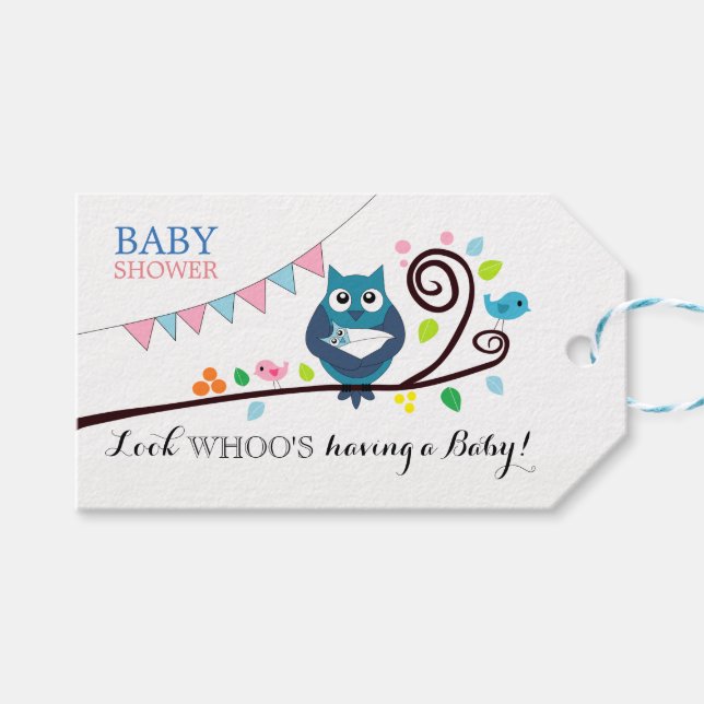Whimsical Owl Baby Shower Gift Tags (Front (Horizontal))
