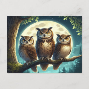 Whimsical Owl Trio Postcard