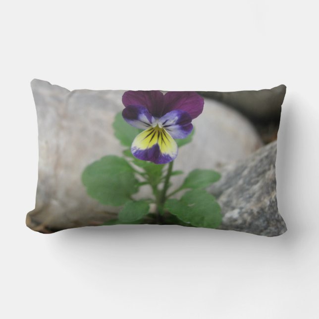 Whimsical pansy lumbar pillow (Front)