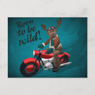 Whimsical Reindeer: Born to be wild! Postcard