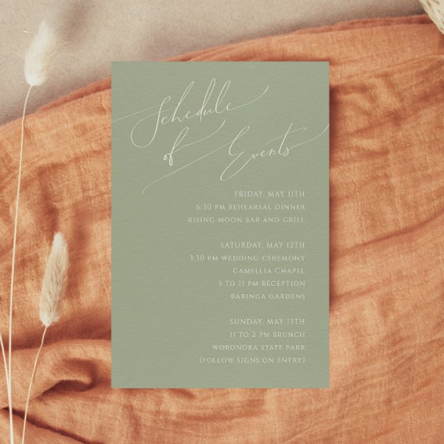 Whimsical Script | Sage Green Schedule of Events Enclosure Card (Creator Uploaded)