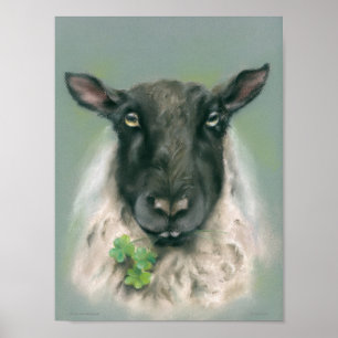 Whimsical Sheep with Shamrocks Poster