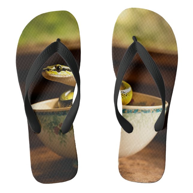 Whimsical  Slippers: Step into Fantasy with  Thongs (Footbed)