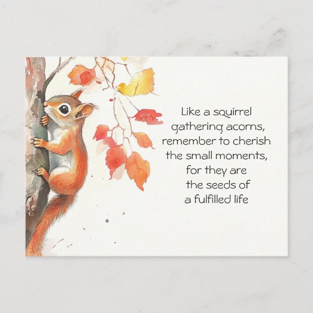 Whimsical Squirrel  Postcard (Front)