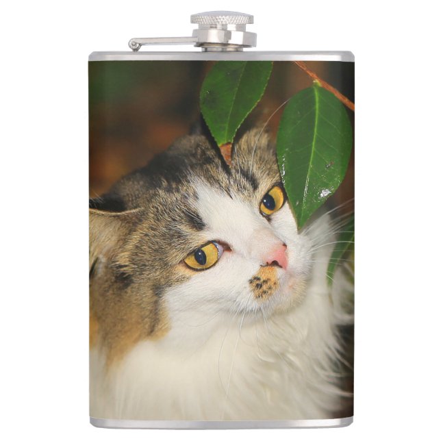 Whimsical The Cat and the Camellia Hip Flask (Front)