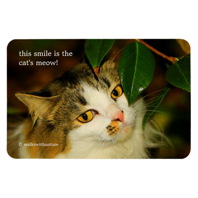 Whimsical The Cat and the Camellia Magnet (Horizontal)