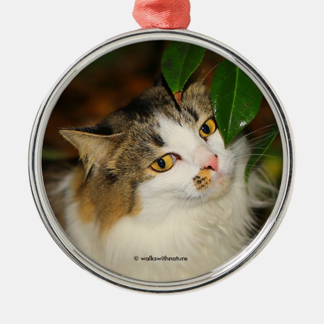 Whimsical The Cat and the Camellia Metal Ornament (Front)