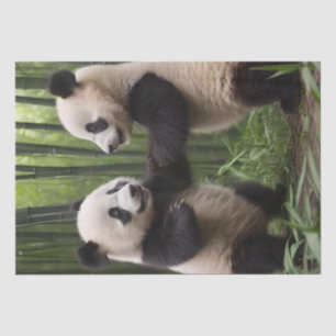 Whimsical Wonders: Baby Pandas Play in Forest Tissue Paper
