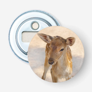 Whimsical Woodland Deer Photography Bottle Opener