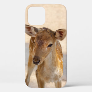 Whimsical Woodland Deer Photography iPhone 12 Case