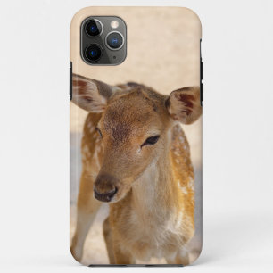 Whimsical Woodland Deer Photography iPhone 11 Pro Max Case