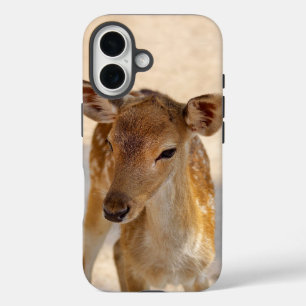 Whimsical Woodland Deer Photography iPhone 16 Case