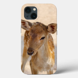 Whimsical Woodland Deer Photography iPhone 13 Case