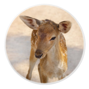 Whimsical Woodland Deer Photography Ceramic Knob