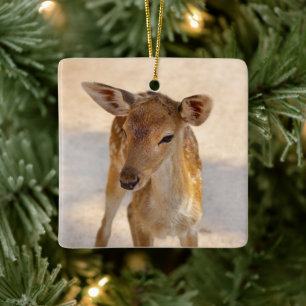 Whimsical Woodland Deer Photography Ceramic Ornament