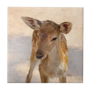 Whimsical Woodland Deer Photography Ceramic Tile