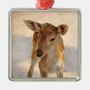 Whimsical Woodland Deer Photography Metal Ornament