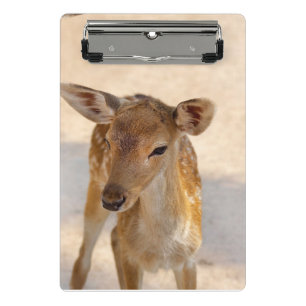 Whimsical Woodland Deer Photography Mini Clipboard
