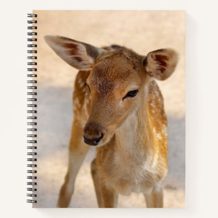 Whimsical Woodland Deer Photography Notebook