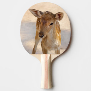 Whimsical Woodland Deer Photography Ping Pong Paddle
