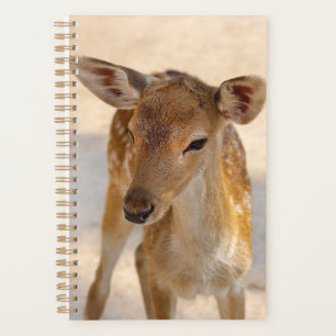 Whimsical Woodland Deer Photography Planner