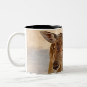 Whimsical Woodland Deer Photography Two-Tone Coffee Mug