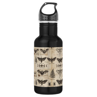 Whimsigoth Botanical Specimens Antique Moth Bat 532 Ml Water Bottle
