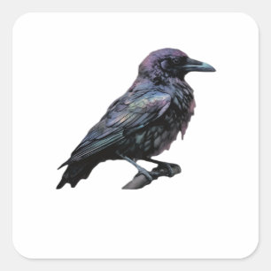 Whimsigoth Moody Floral Grungy Corvus, Raven, Crow Square Sticker