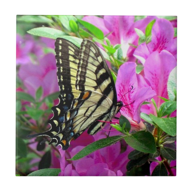 Whimsy Art Tile (Front)