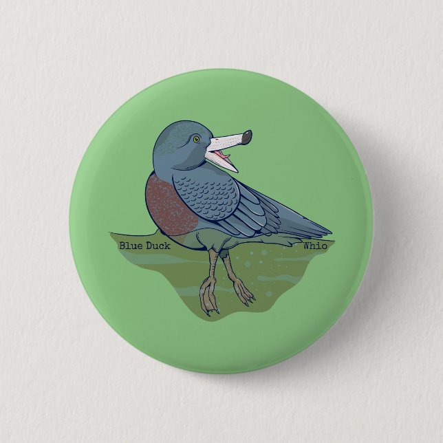 Whio Blue Duck NZ BIRD 6 Cm Round Badge (Front)