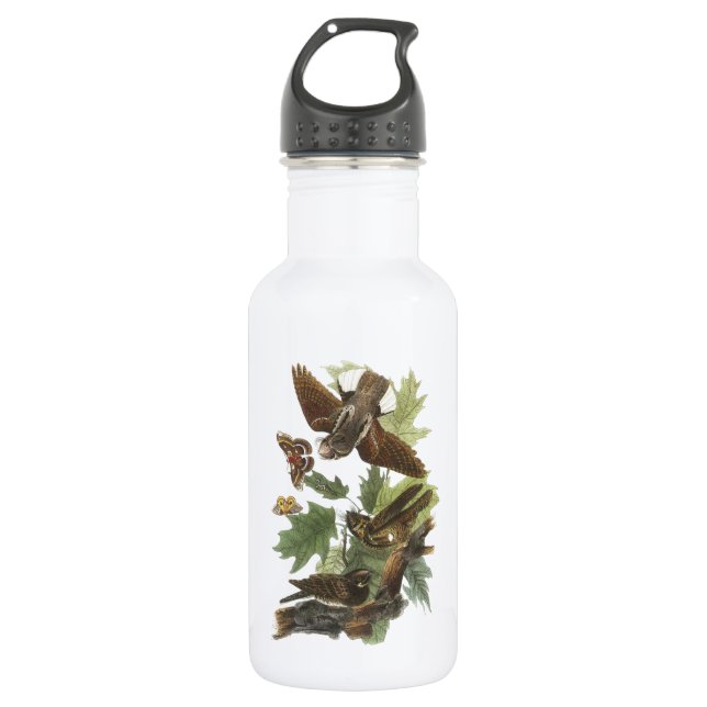 Whip-poor-will by Audubon 532 Ml Water Bottle (Front)