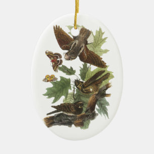 Whip-poor-will, John Audubon Ceramic Tree Decoration