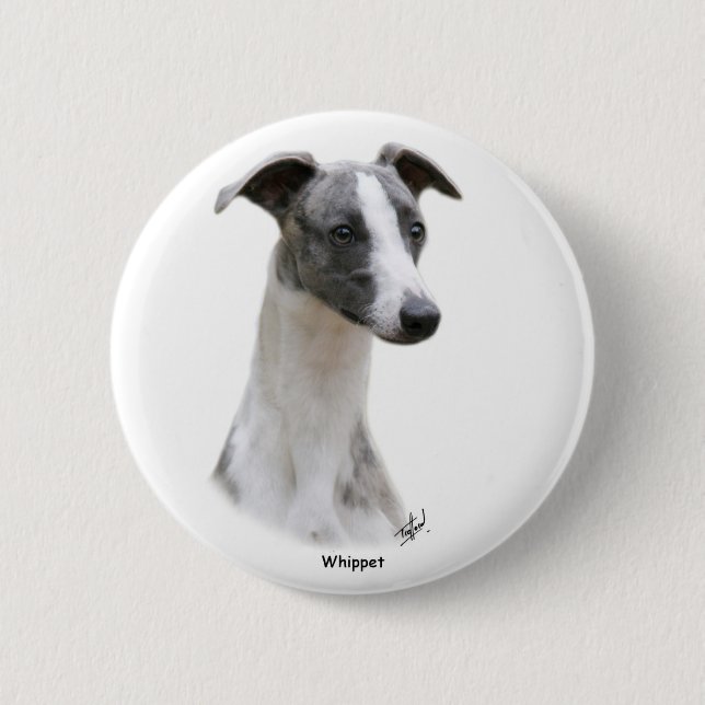 Whippet 9Y205D-231 6 Cm Round Badge (Front)