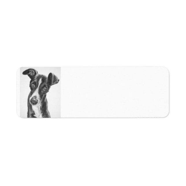 Whippet Black with White Blaze Return Address Label (Front)