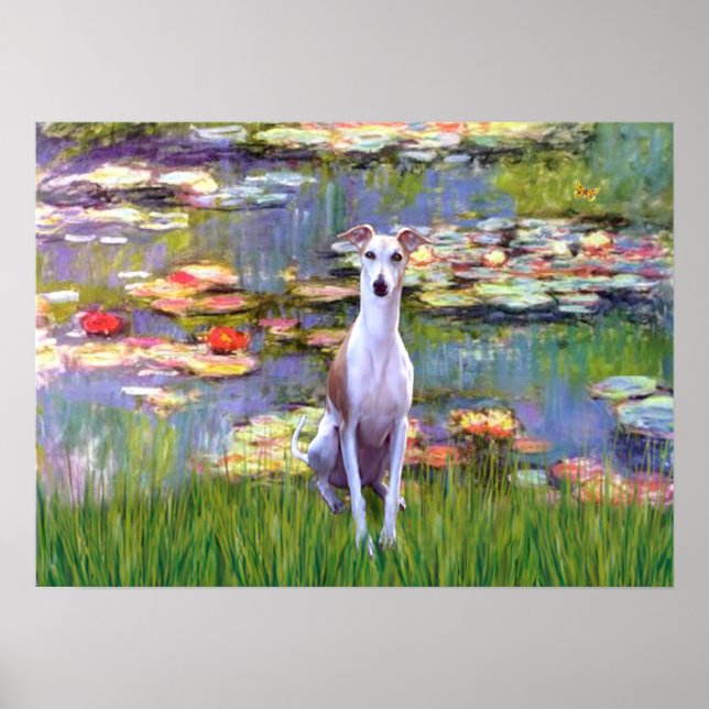 Whippet (brown-white) - Lilies 2 Poster (Front)