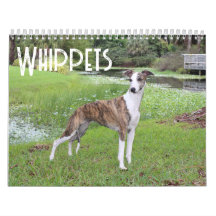 Whippet Calendar 