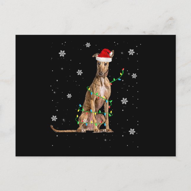 Whippet Christmas Light Cute Santa Whippet Xmas Holiday Postcard (Front)