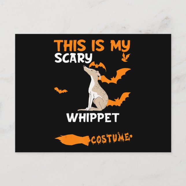 Whippet Costume Halloween Lazy Scary Dog T-Shirt Announcement Postcard (Front)