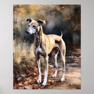Whippet Dog Art Print Poster
