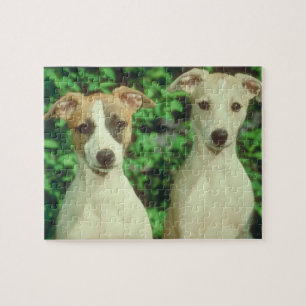 Whippet Dog Tin and Puzzle