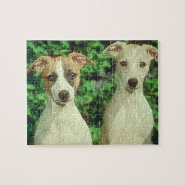 Whippet Dog Tin and Puzzle (Horizontal)