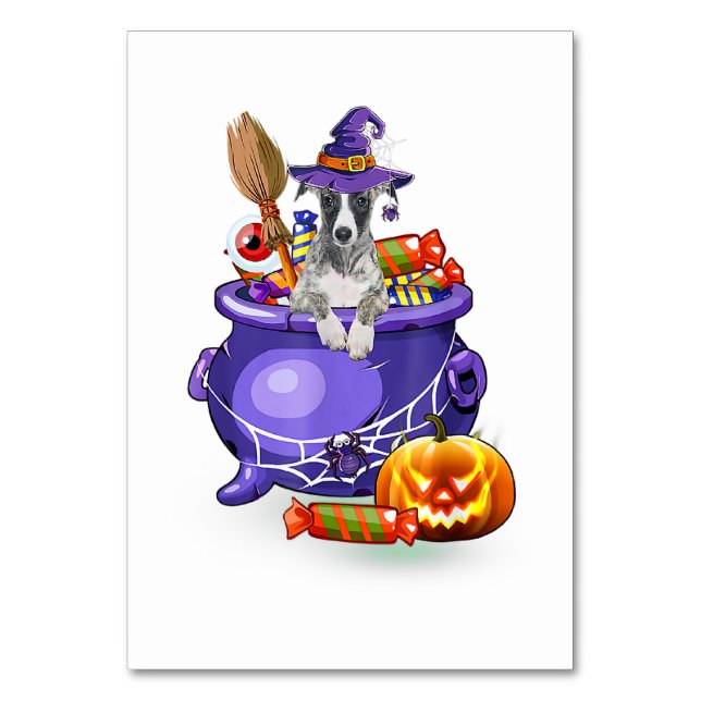 Whippet Dog with witch hat Candy Pumpkin Halloween Table Number (Front)